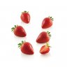 36.281.87.0065_FRAGOLA_30_FINITO_1